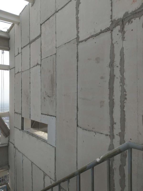 成人午夜免费板